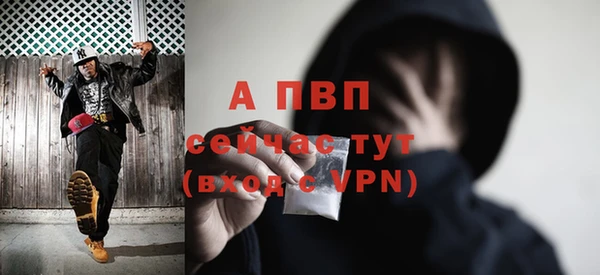 mdpv Инсар
