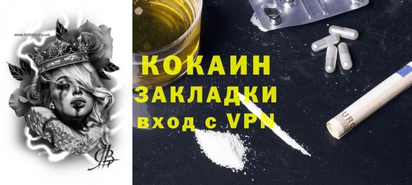 mdpv Инсар